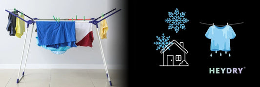 Lorenas Erfahrungsbericht